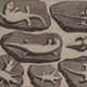 Illustration for article titled Back in the 1700s, two science professors created the worlds first fossil hoax to prank a religious colleague